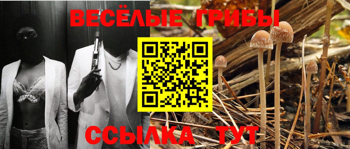 Нурлат  Псилоцибиновые грибы Psilocybine cubensis  купить наркотики цена  Вход с VPN  Галлюциногенные грибы GOLDEN TEACHER 