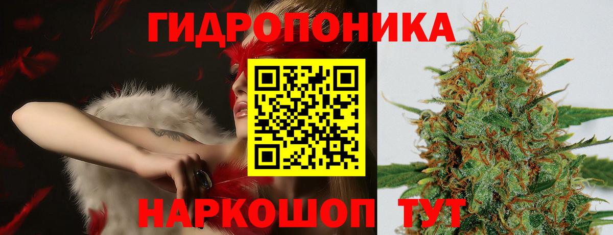 Марихуана LSD WEED  Канабис план  Канабис ГИДРОПОН  Шишки марихуана MAZAR  Нурлат  Вход с VPN 
